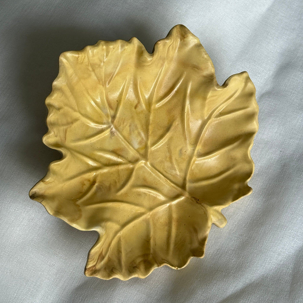 Maple