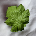 Maple