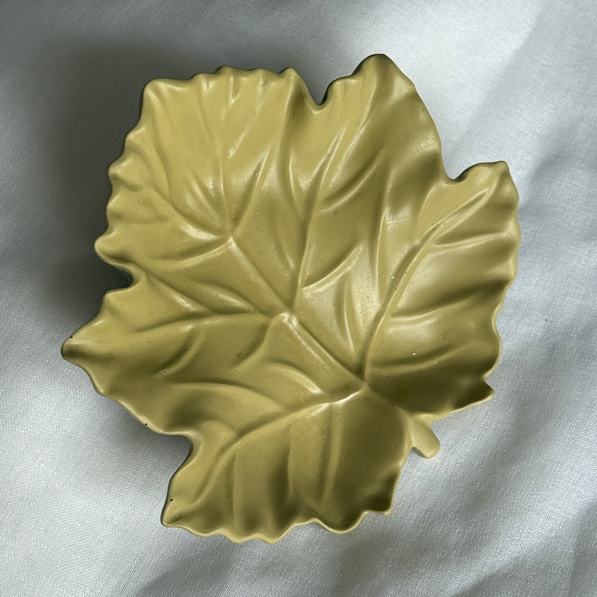 Maple